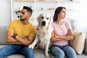 Who Gets the Dog in a Divorce? 